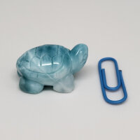 Larimar Schildkröte (769)