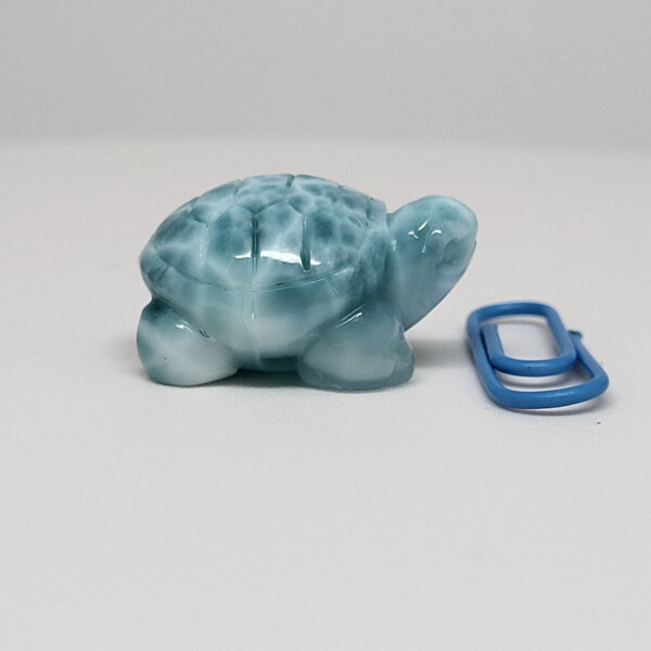 Larimar Schildkröte (774)