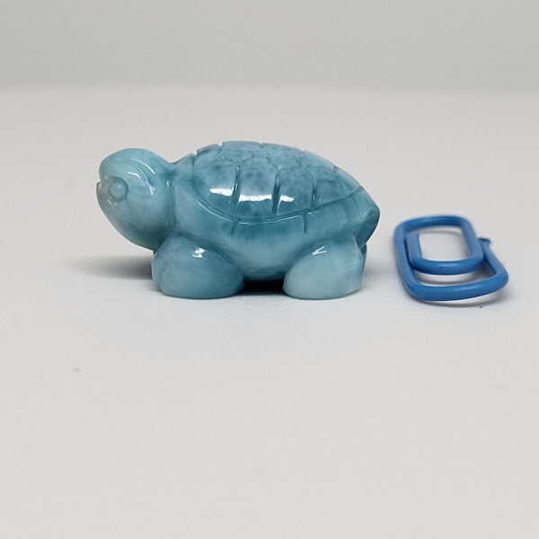 Larimar Schildkröte (775)