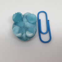 Larimar Schildkröte (775)