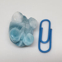 Larimar Schildkröte (776)