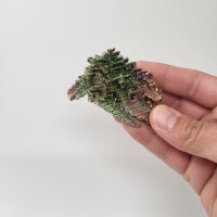 Bismut groß 60g - 85g Kilopreis