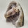 Amethyst Druse (15)
