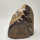Amethyst Druse (15)