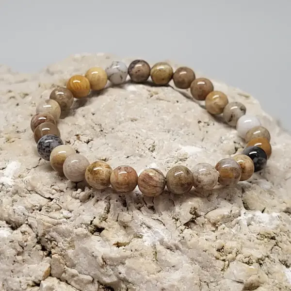 Chrysanthemum/Fossil Armband rund