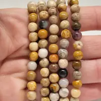 Chrysanthemum/Fossil Armband rund