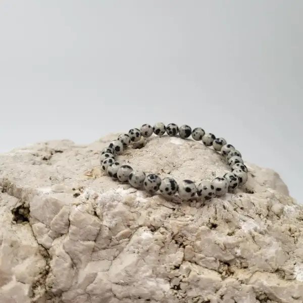 Dalmatiner Jaspis Armband rund