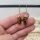 Tigerauge Ohrringe Pendel gold plated