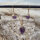 Amethyst Anhänger & Ohrringe als Set gold plated